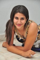 Manisha Gallery